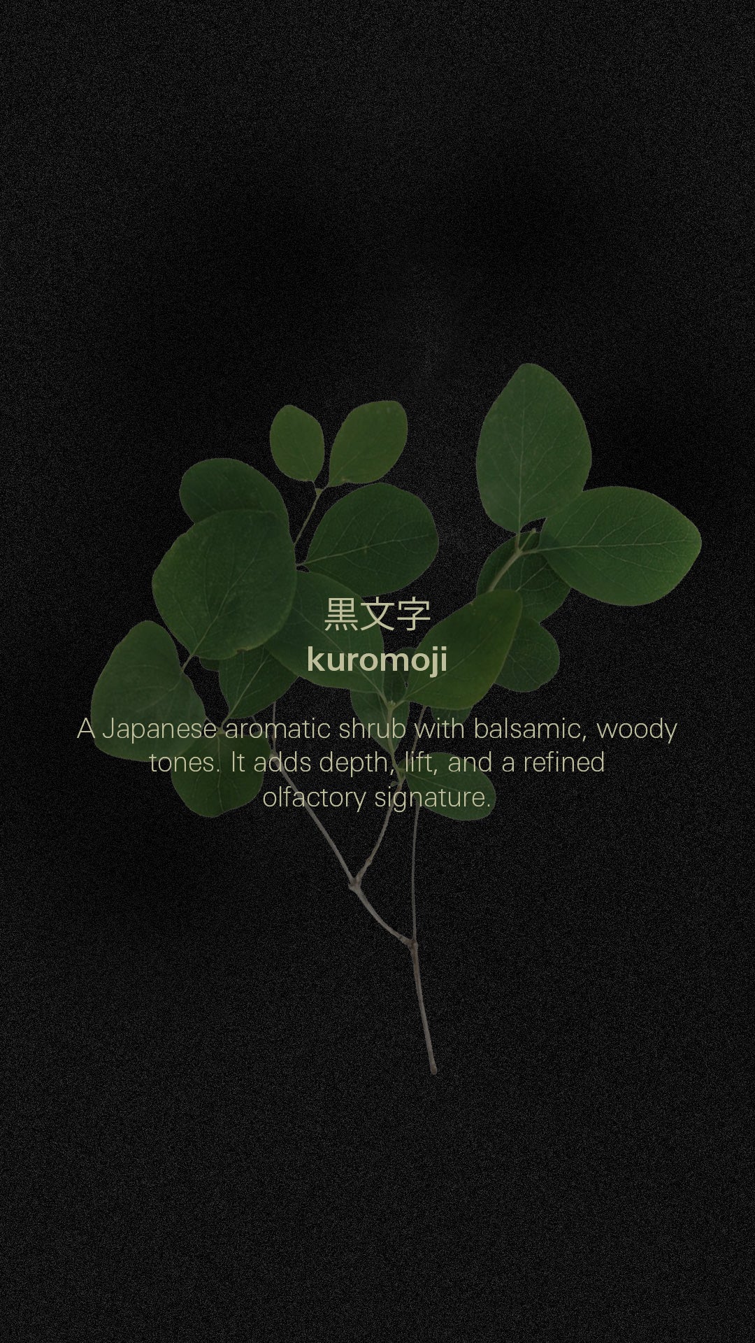 Kuromoji